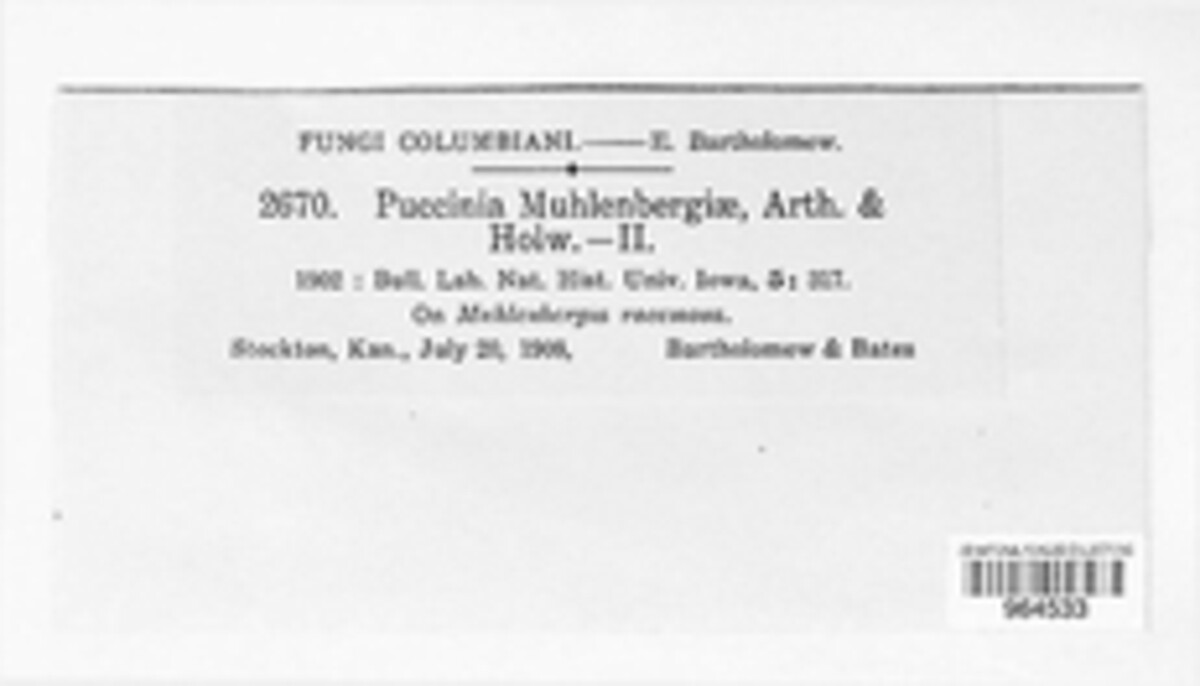 Puccinia muhlenbergiae image